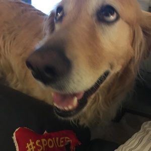 Meet your Posher, Melissa